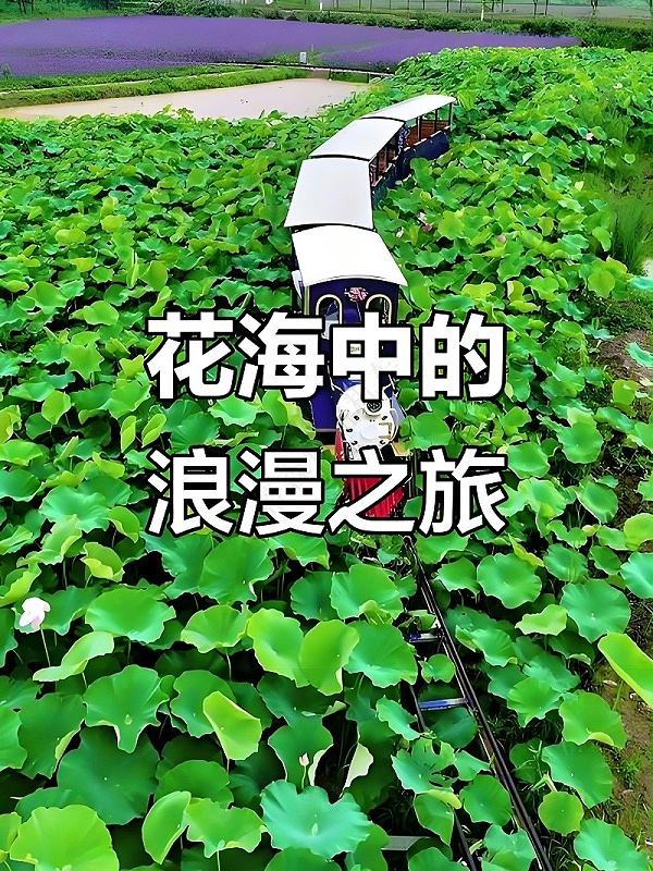 观光小火车