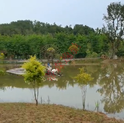 蒂森逸驰小火车旁的风景