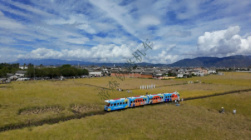 稻田小火车