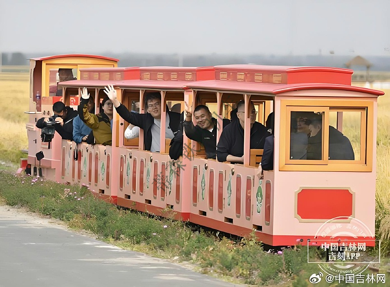 稻田小火车