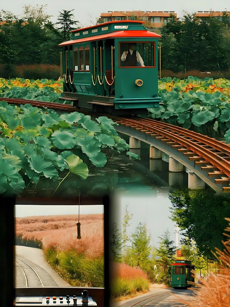 荷塘小火车