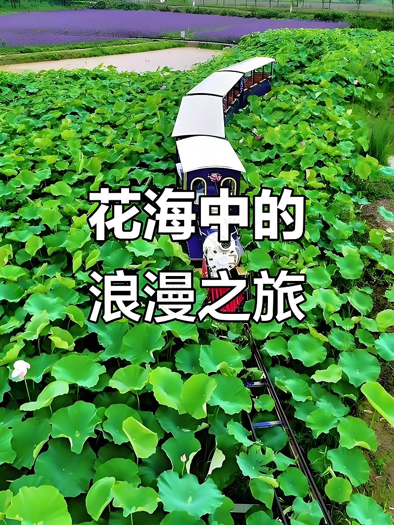 观光小火车