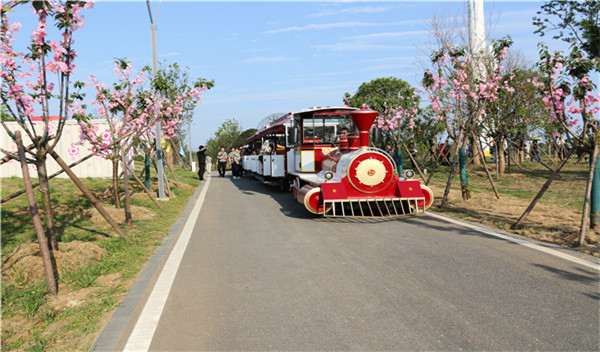 封闭车厢——DSW-D58FB封闭燃油观光小火车